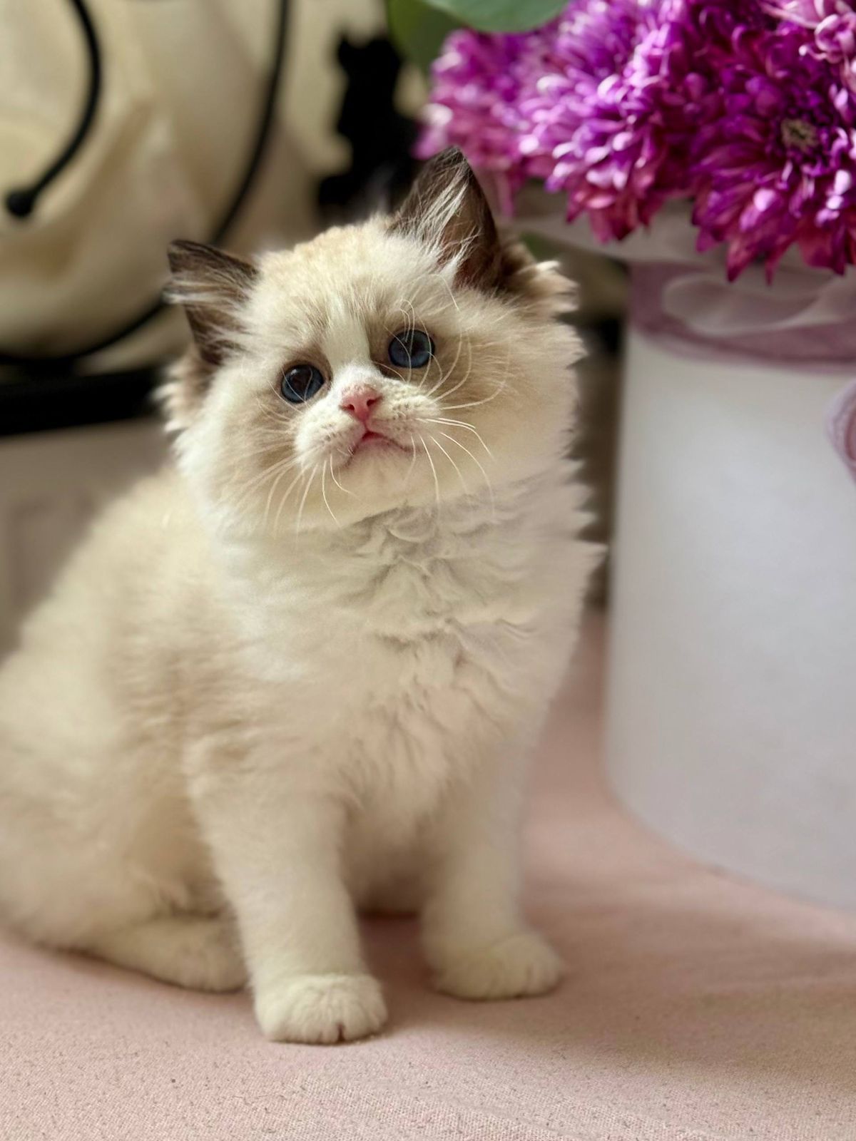 WhatsApp Image 2025-11-12 at 13.58.04 (1)