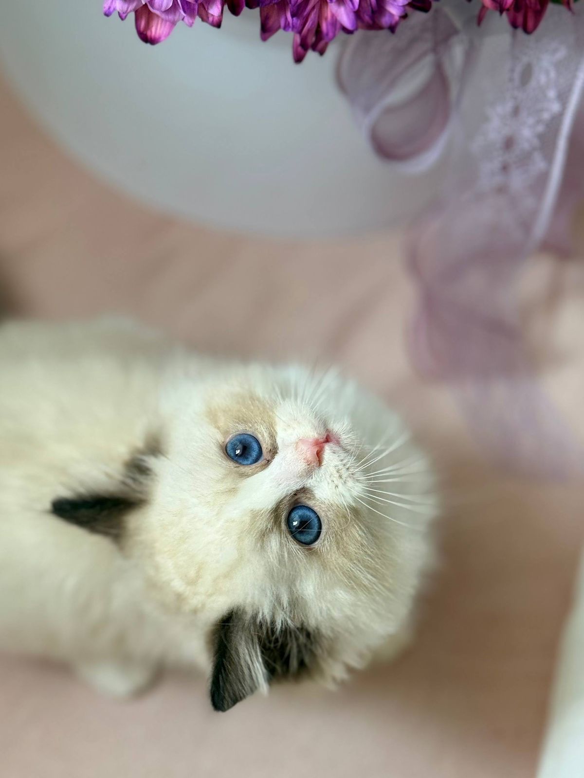 WhatsApp Image 2025-11-12 at 13.58.04 (2)