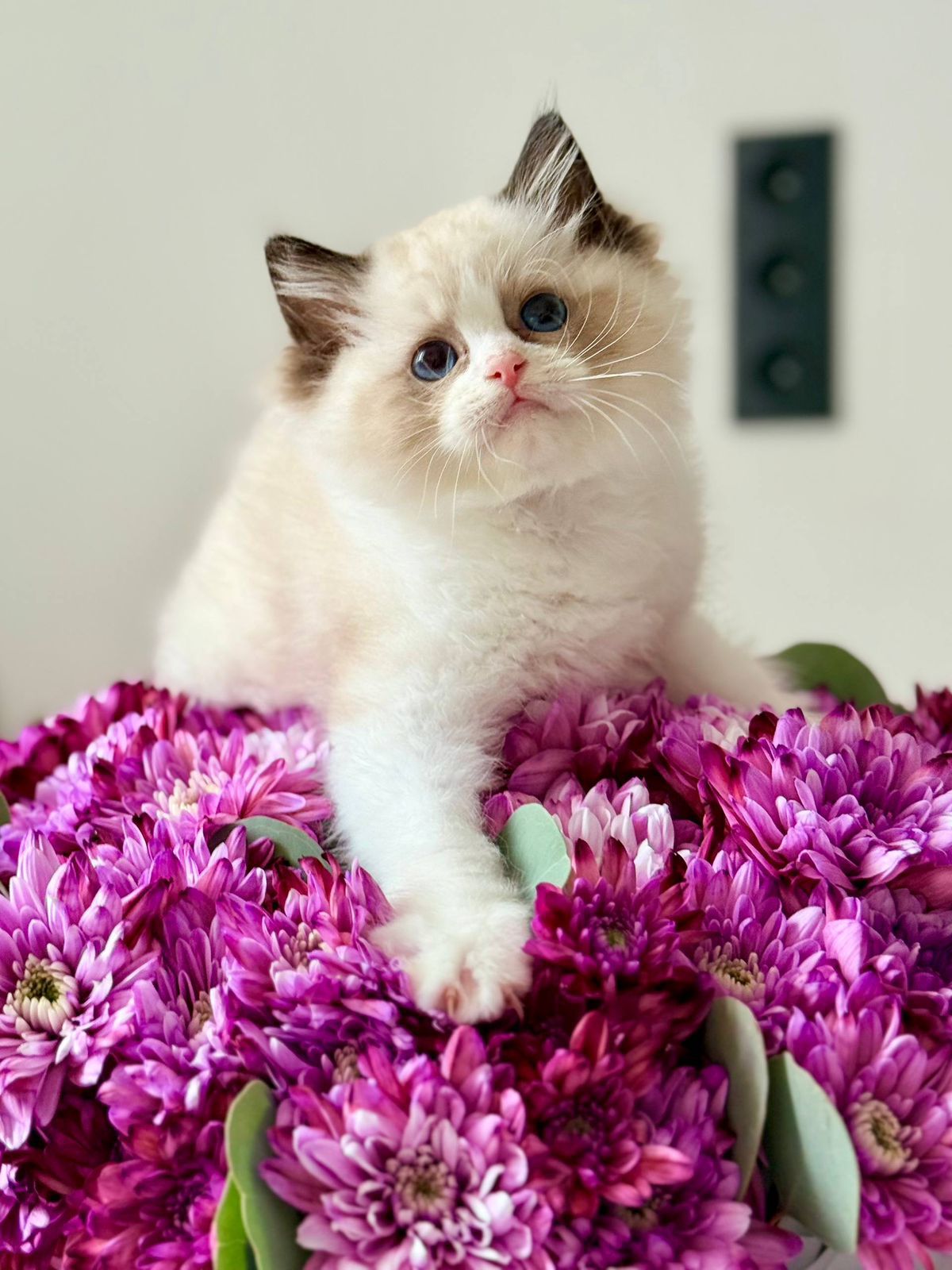 WhatsApp Image 2025-11-12 at 13.58.04 (3)