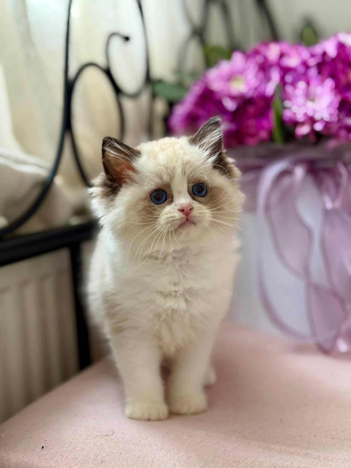 WhatsApp Image 2025-11-12 at 13.58.04 (5)