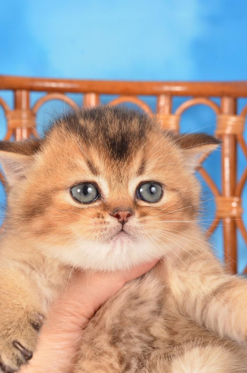 WhatsApp Image 2025-11-12 at 13.59.41 (3)