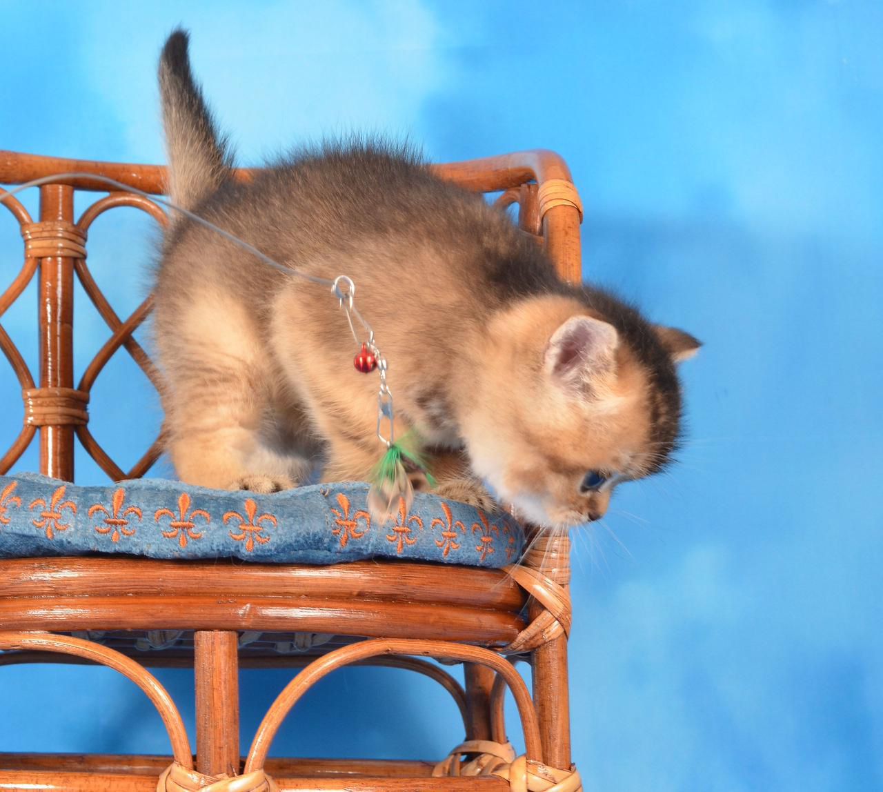 WhatsApp Image 2025-11-12 at 13.59.41 (5)