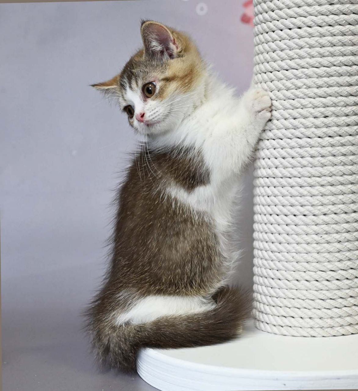 WhatsApp Image 2025-11-12 at 14.00.40 (2)