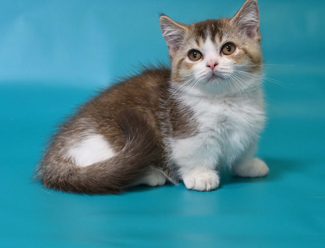 WhatsApp Image 2025-11-12 at 14.00.40