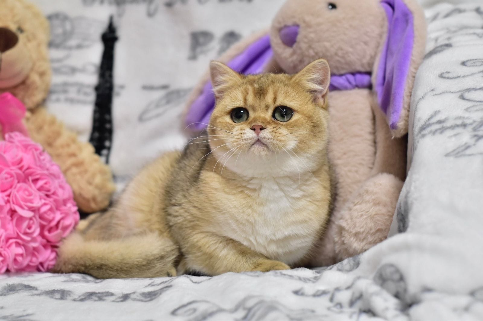 WhatsApp Image 2025-11-18 at 14.24.02 (2)