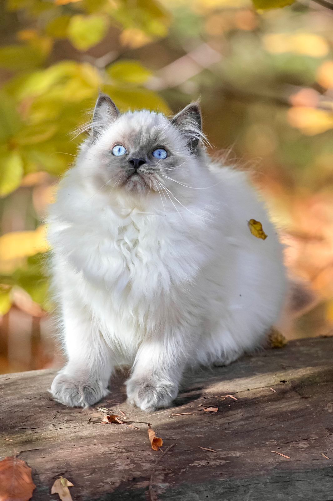 WhatsApp Image 2025-11-18 at 14.27.19