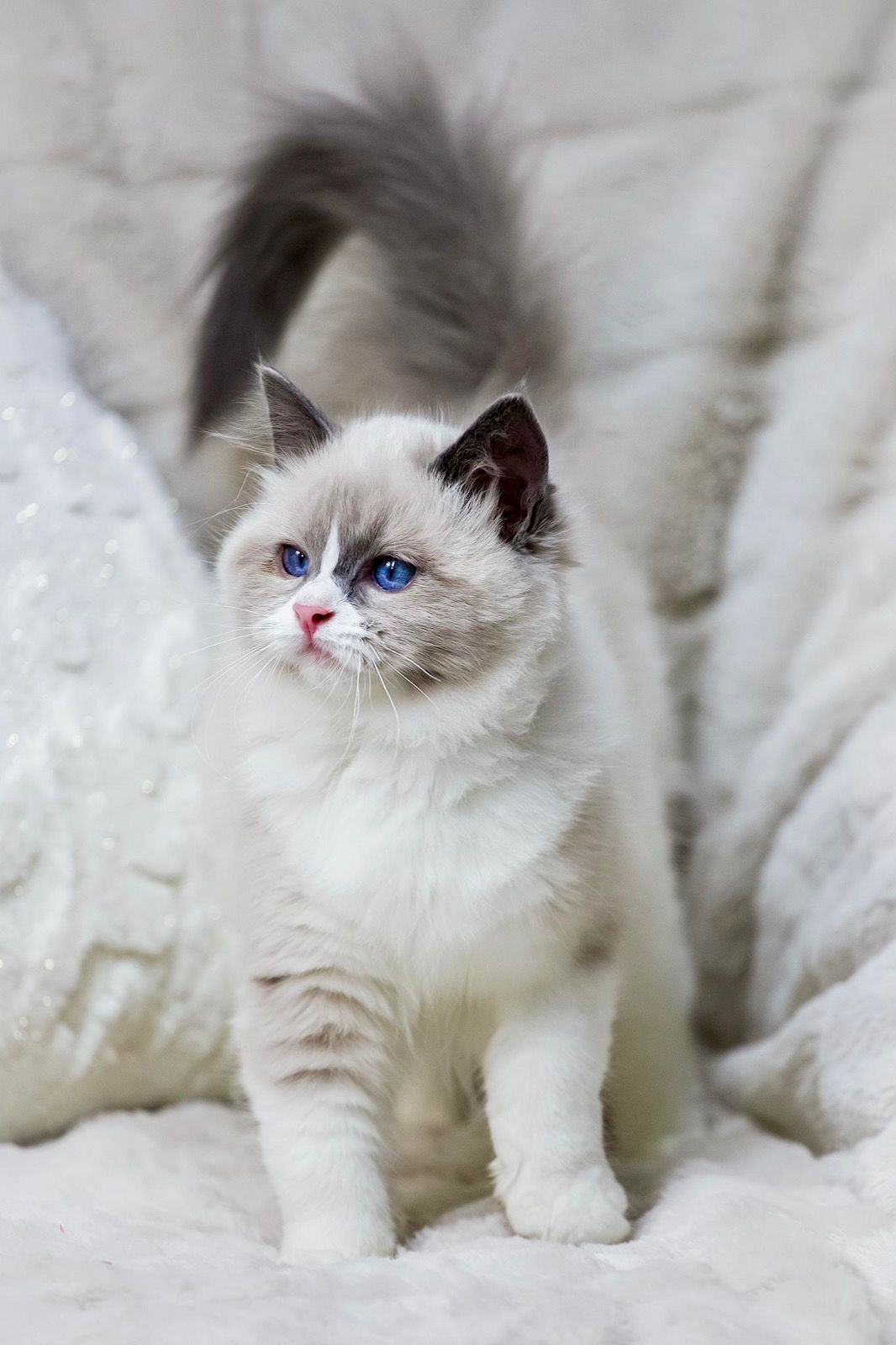 WhatsApp Image 2025-11-18 at 14.27.41