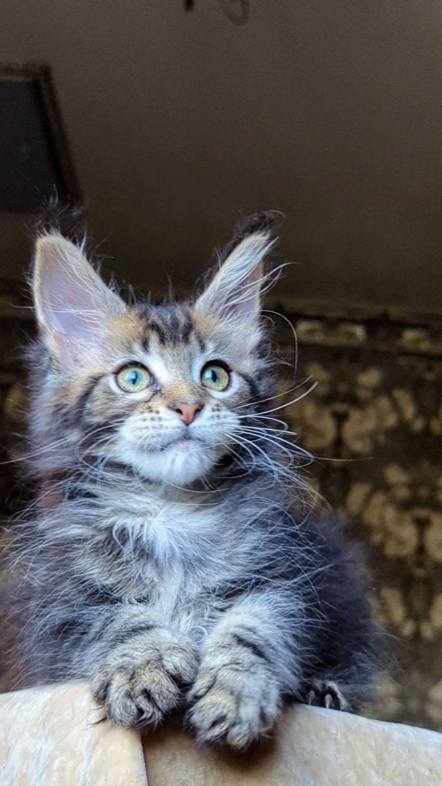 WhatsApp Image 2025-11-18 at 14.29.38 (2)