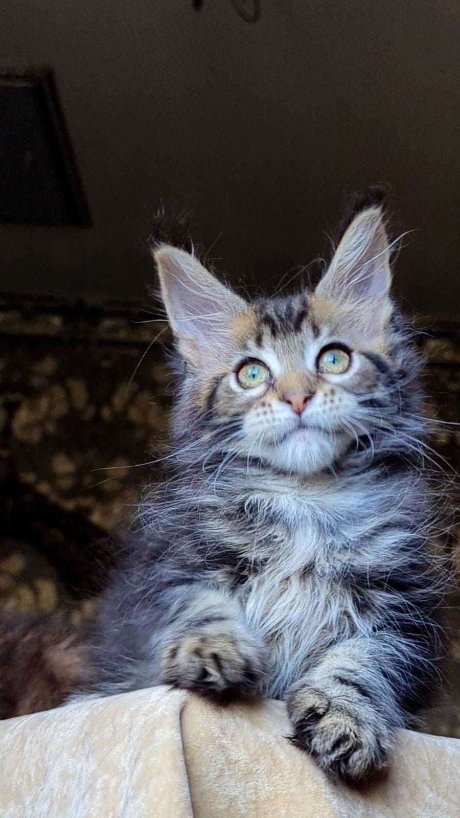 WhatsApp Image 2025-11-18 at 14.29.38 (3)