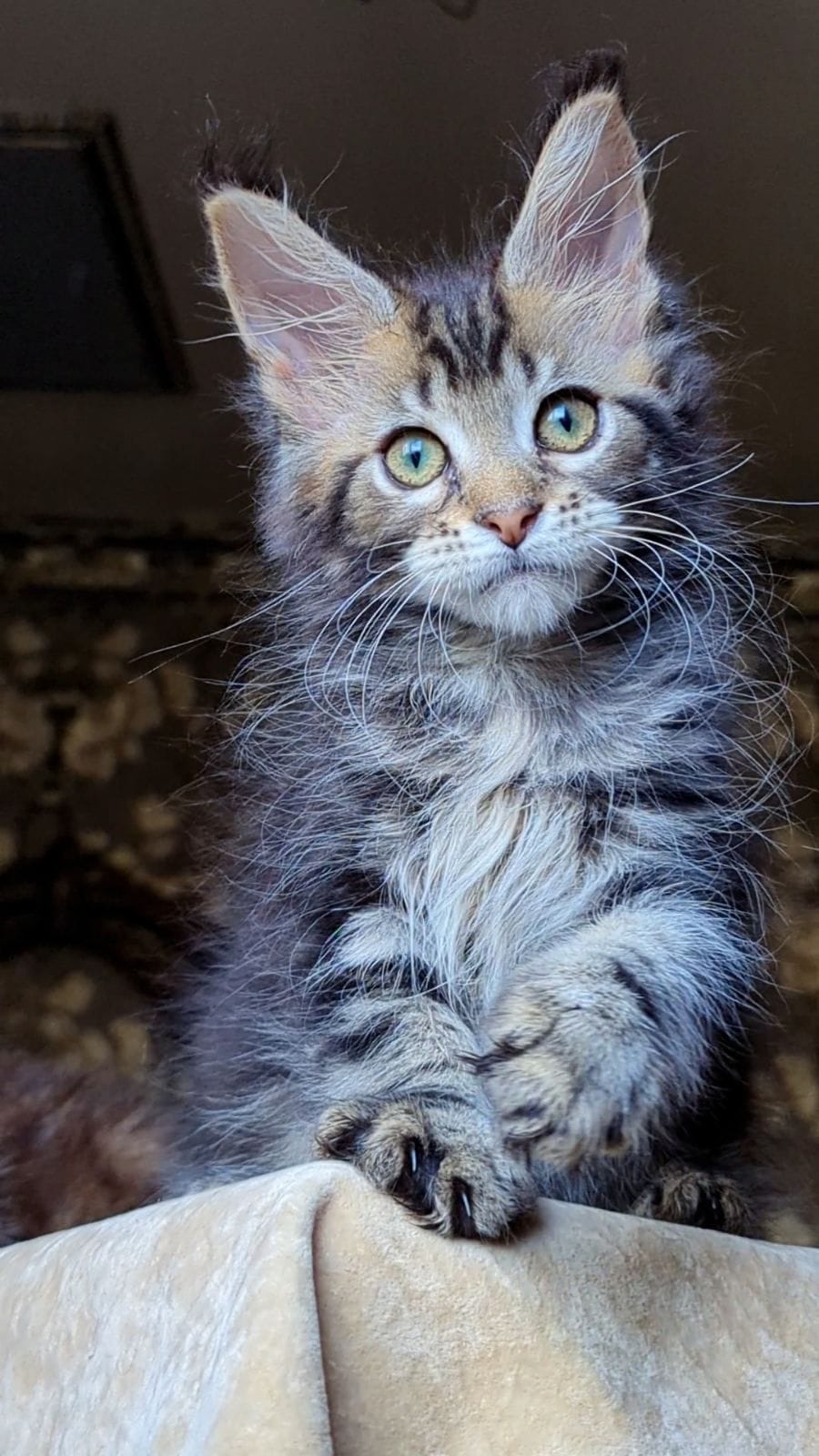 WhatsApp Image 2025-11-18 at 14.29.38