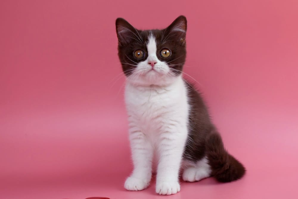 WhatsApp Image 2025-11-24 at 08.35.21 (2)