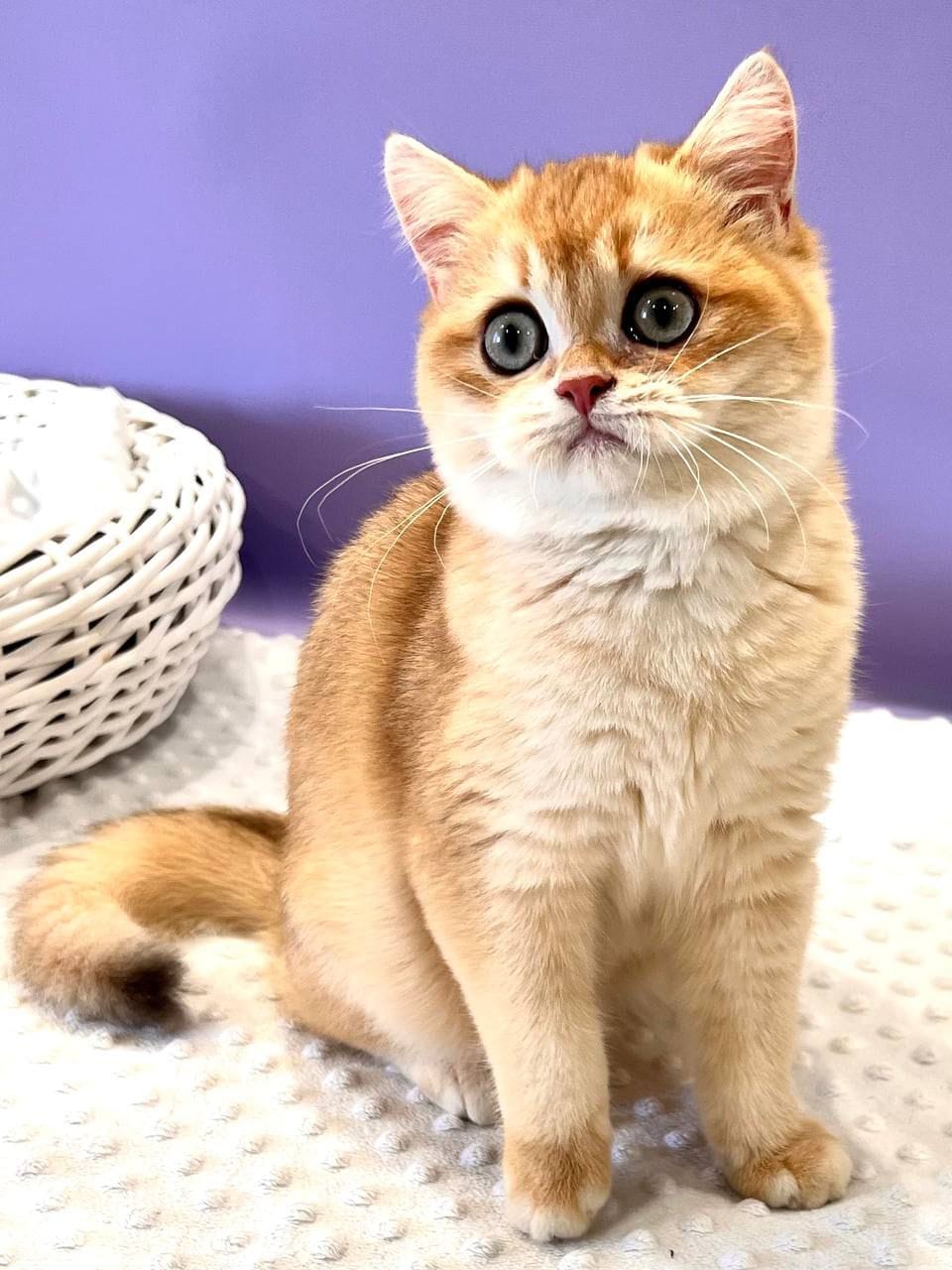 WhatsApp Image 2025-11-24 at 19.18.57 (8)