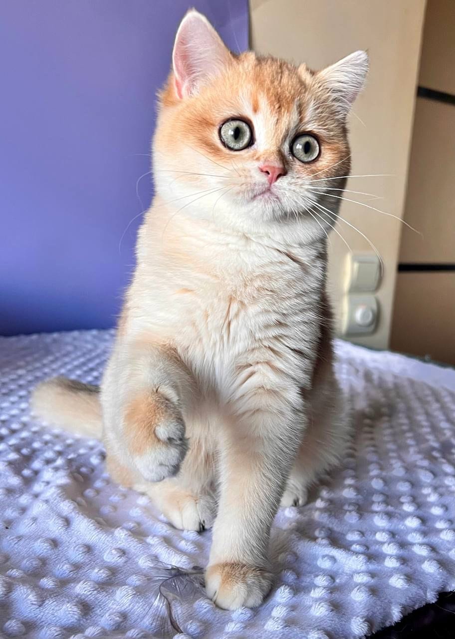 WhatsApp Image 2025-11-24 at 19.18.57