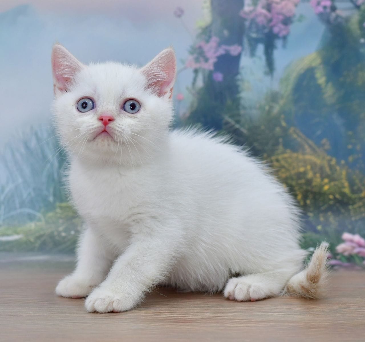 WhatsApp Image 2025-11-24 at 19.22.00