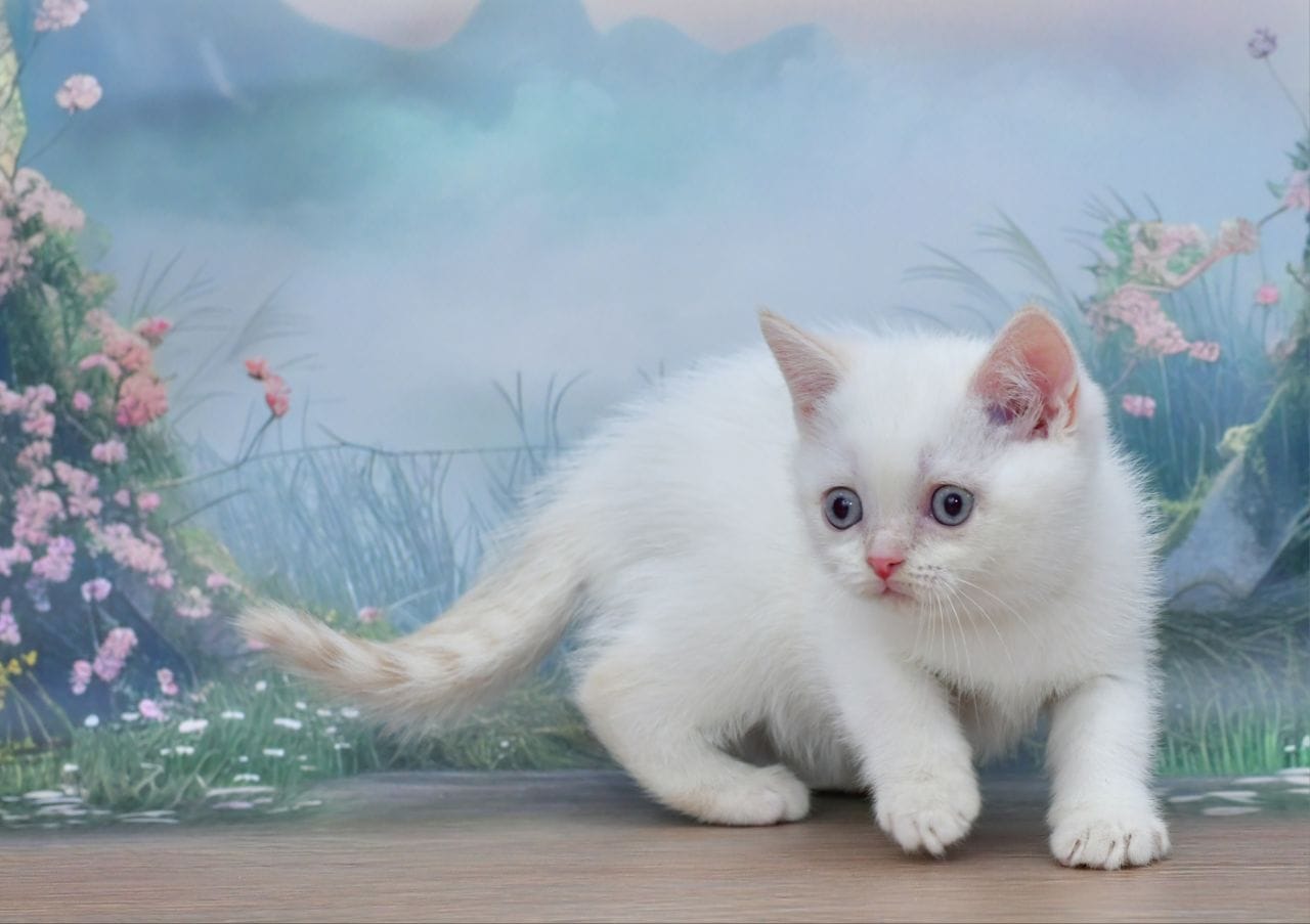 WhatsApp Image 2025-11-24 at 19.22.01