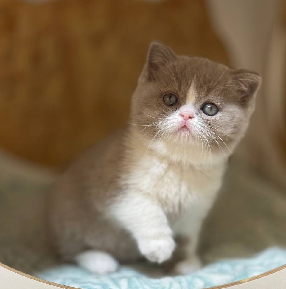 photo_2025-11-13_22-30-58