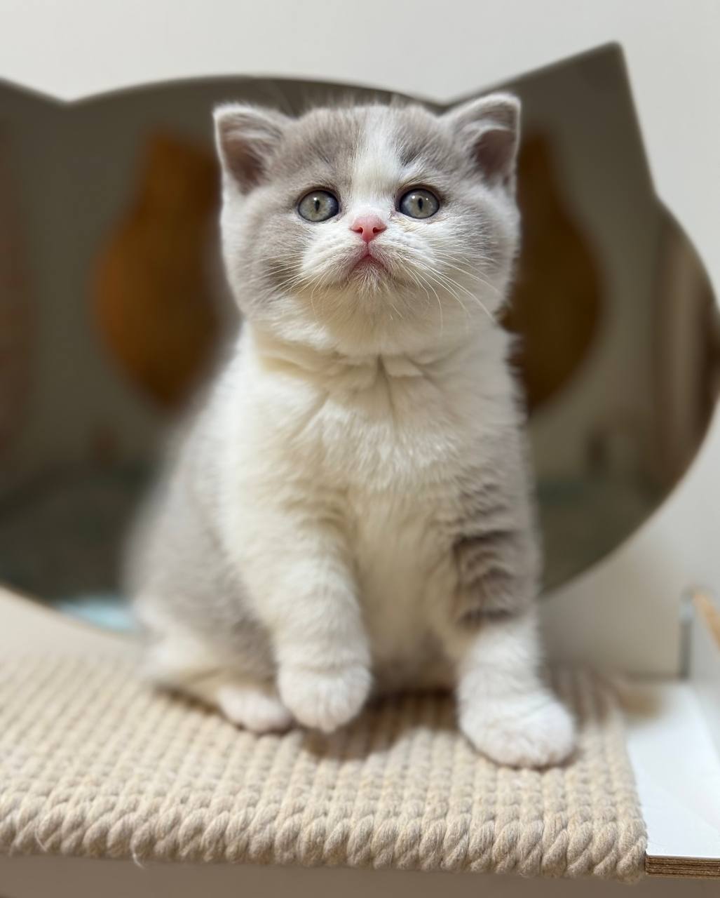 photo_2025-11-13_22-33-08