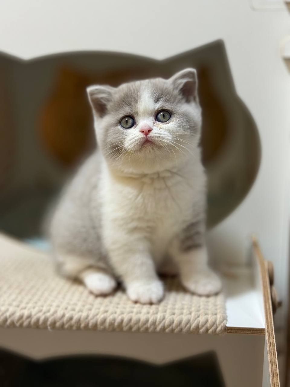 photo_2025-11-13_22-33-09