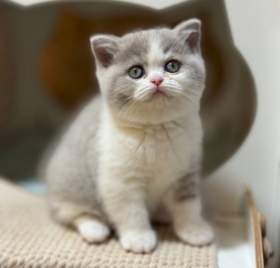 photo_2025-11-13_22-33-10