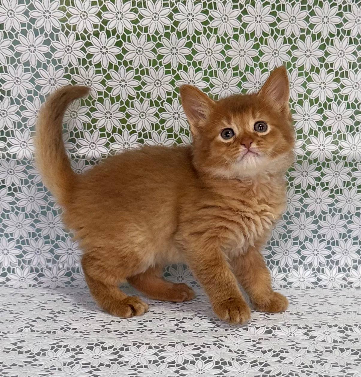 photo_2025-12-04_14-13-44