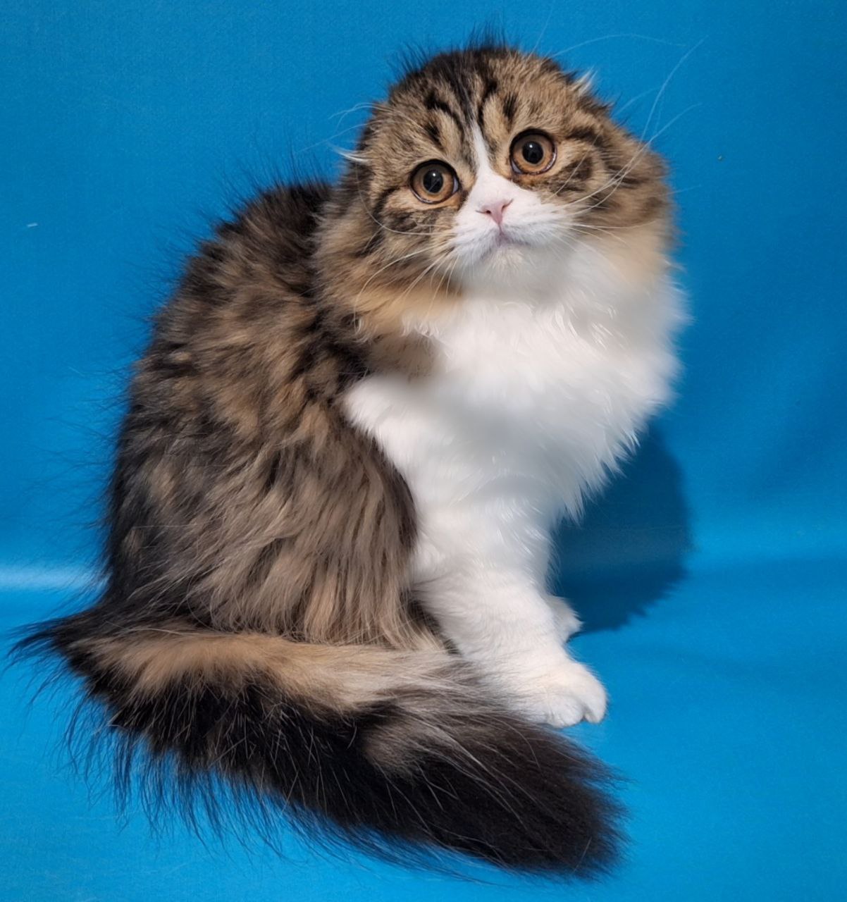 photo_2026-03-05_08-53-13