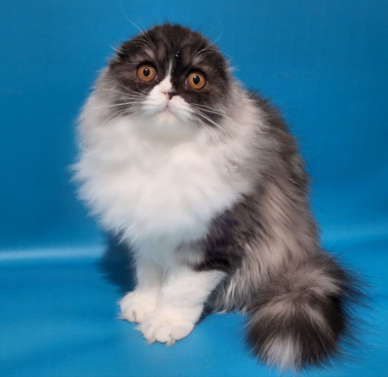 photo_2026-03-05_08-54-12