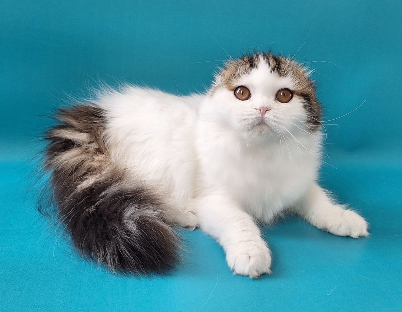 photo_2026-03-05_08-55-07