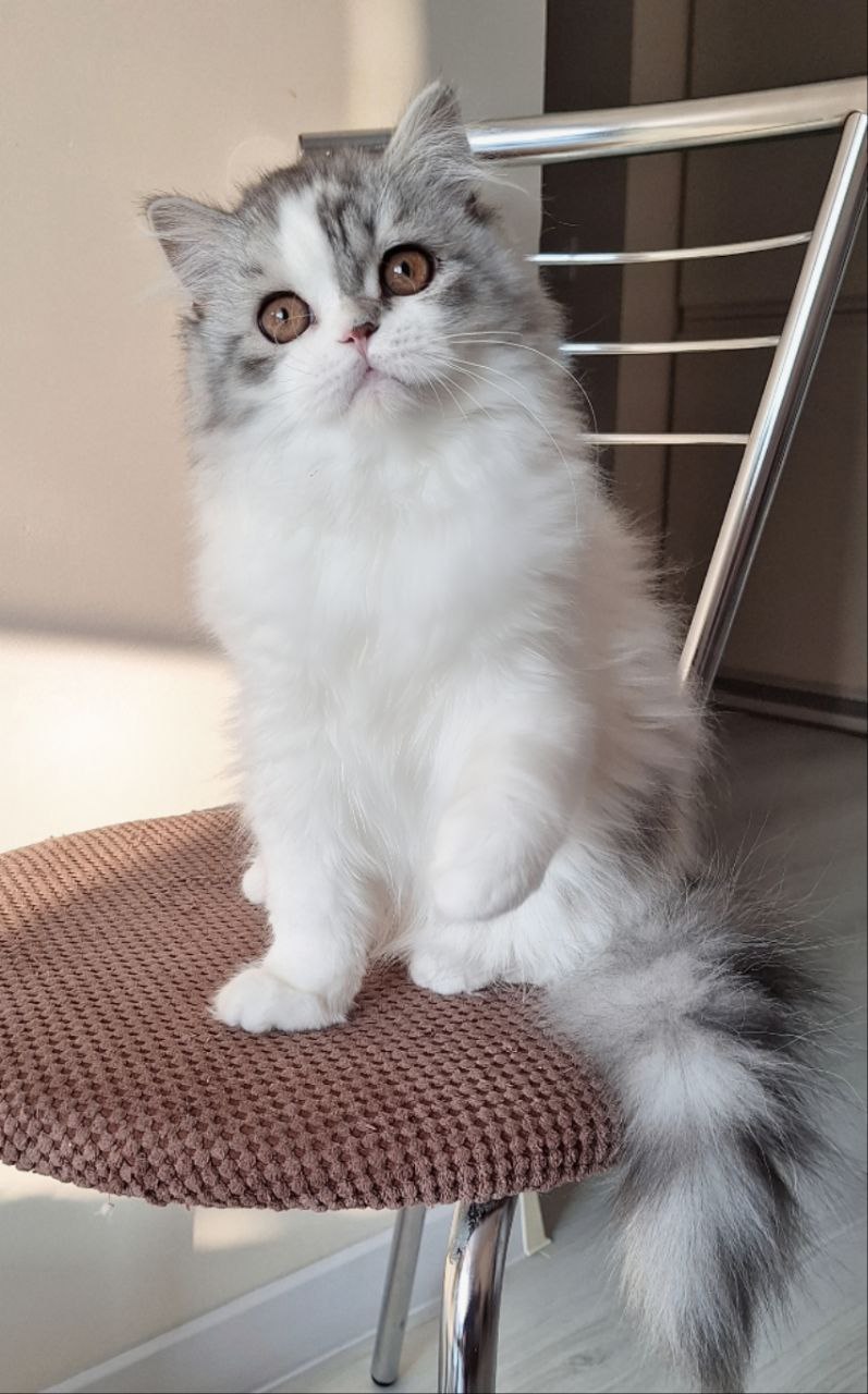 photo_2026-03-05_08-56-41