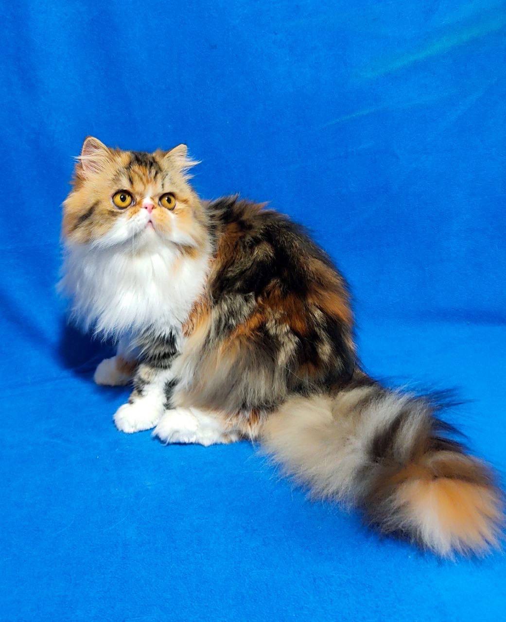 photo_2026-04-16_12-36-44