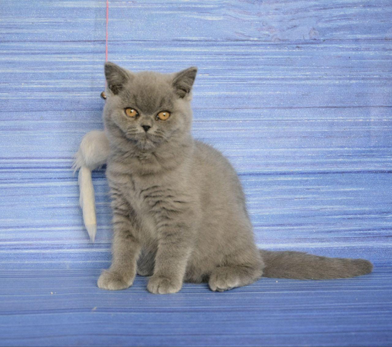 WhatsApp Image 2025-12-01 at 18.31.44 (2)