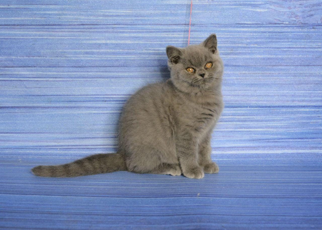 WhatsApp Image 2025-12-01 at 18.31.44 (3)