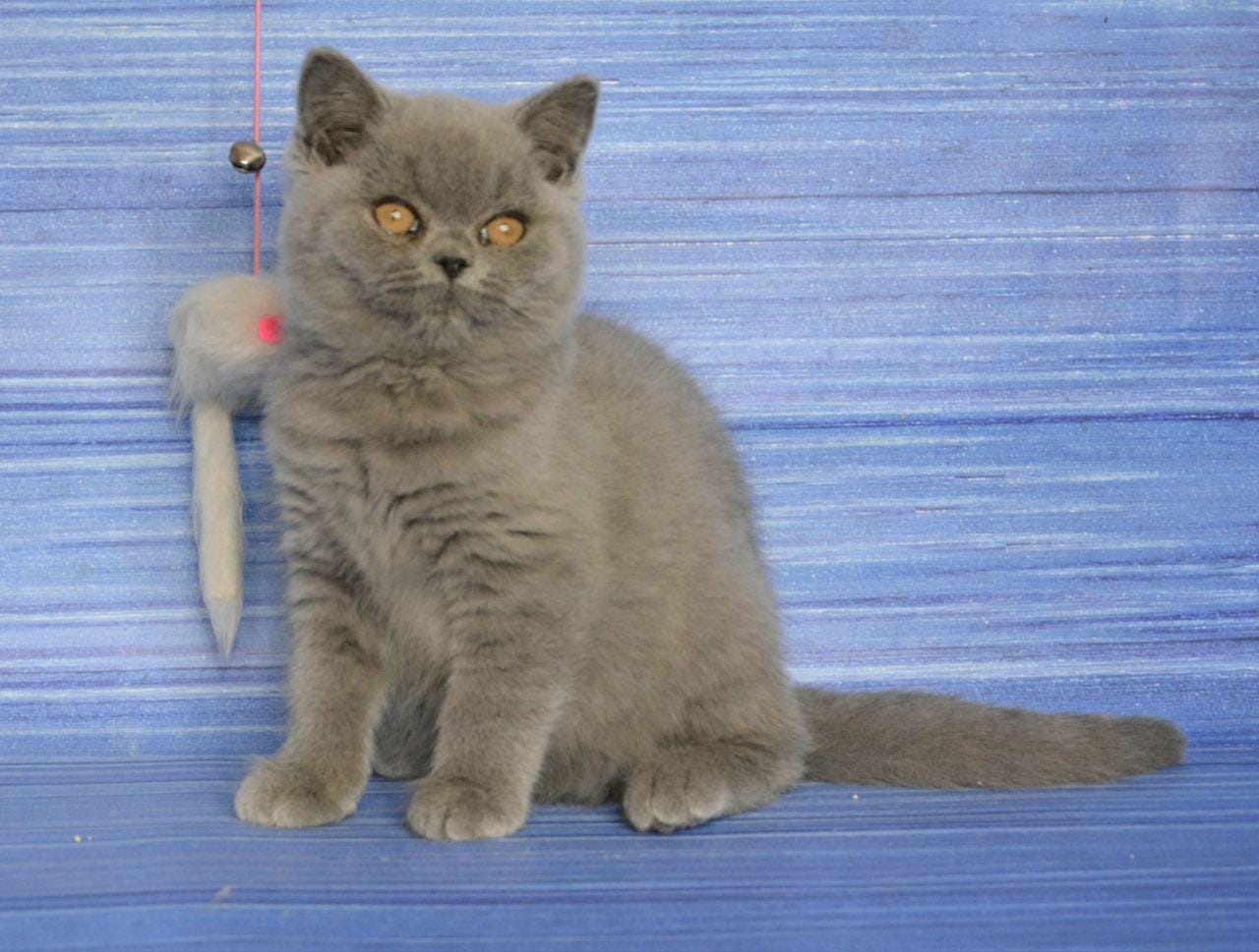 WhatsApp Image 2025-12-01 at 18.31.44