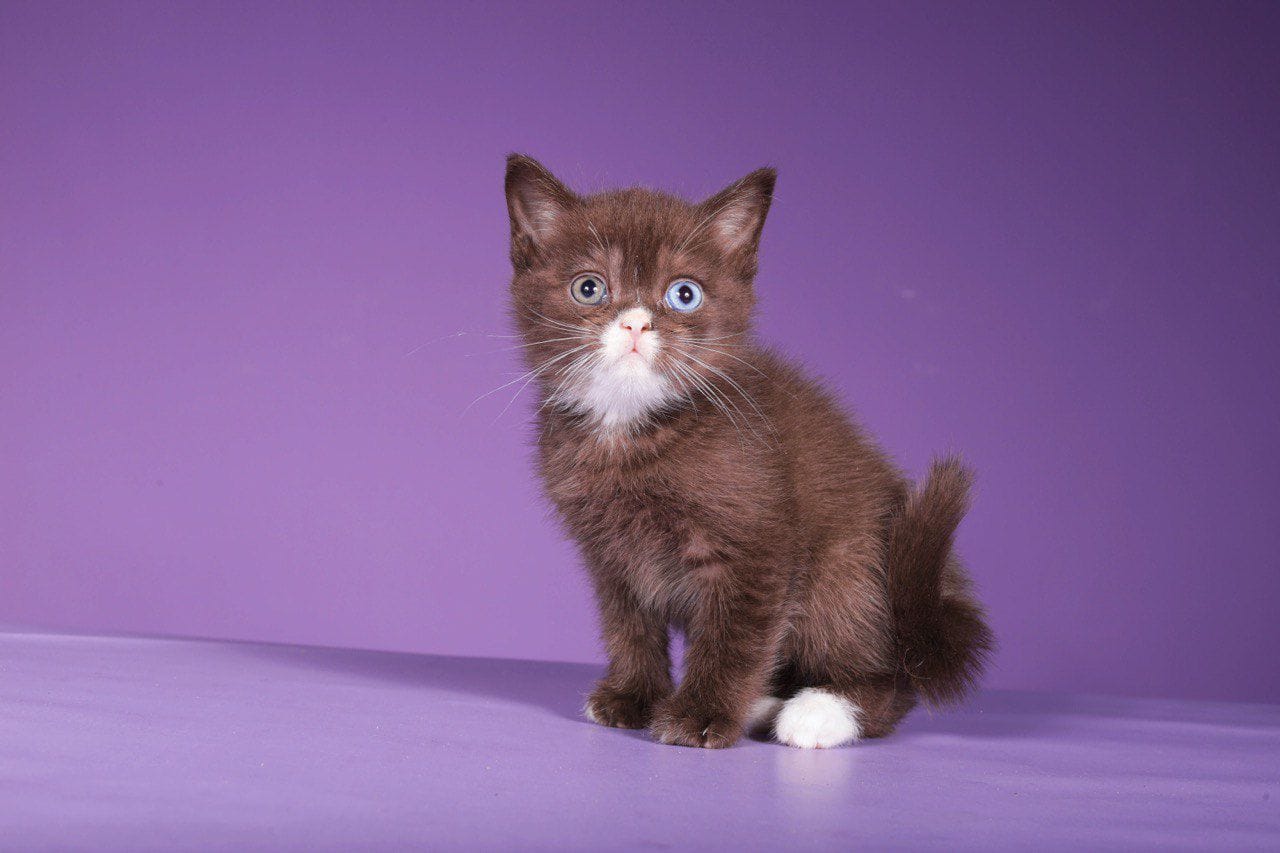 WhatsApp Image 2025-12-01 at 18.34.23 (1)