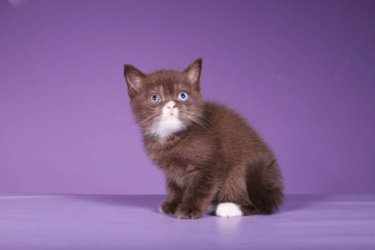 WhatsApp Image 2025-12-01 at 18.34.23 (2)