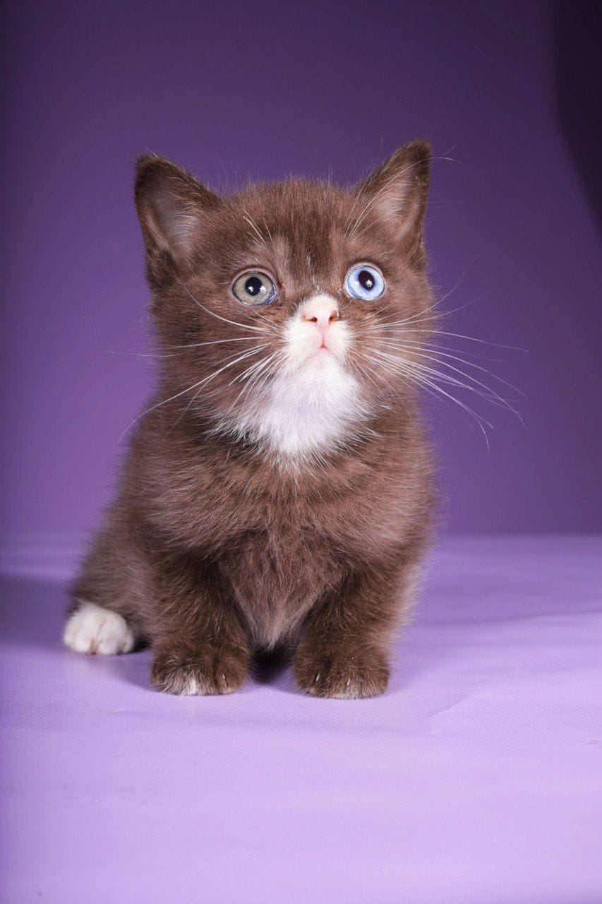 WhatsApp Image 2025-12-01 at 18.34.23 (3)