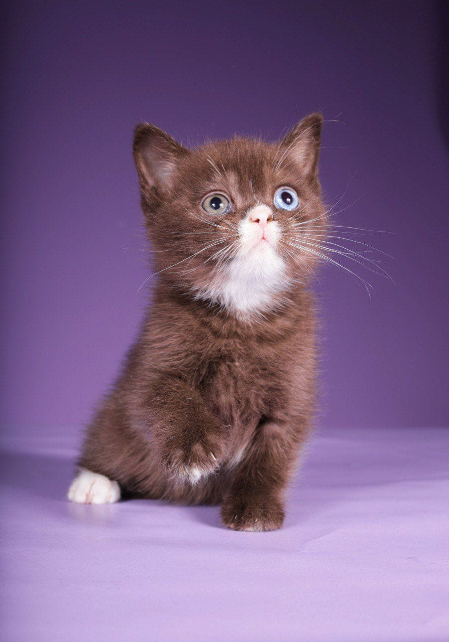 WhatsApp Image 2025-12-01 at 18.34.23