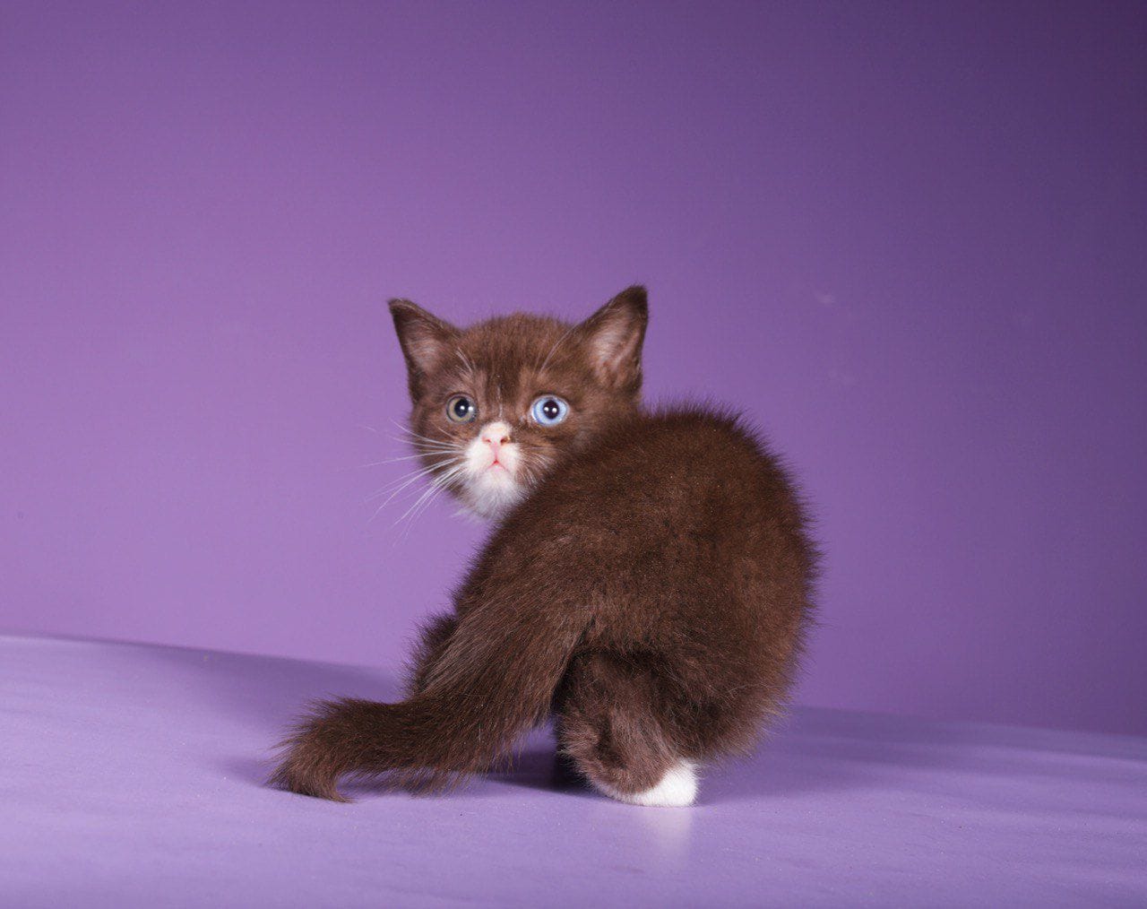 WhatsApp Image 2025-12-01 at 18.34.24