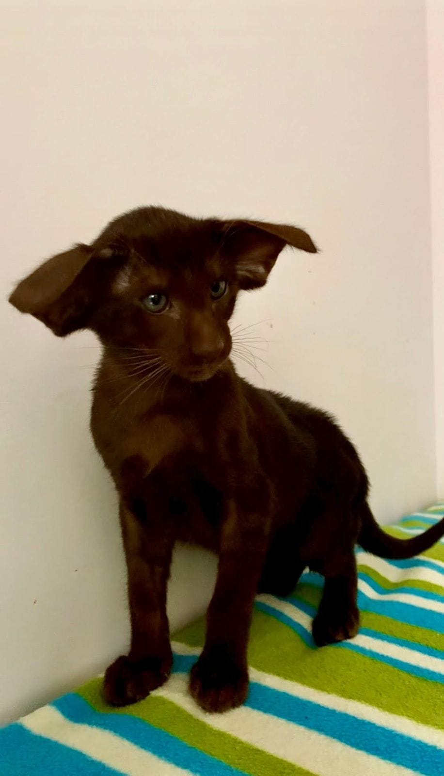 WhatsApp Image 2025-12-01 at 18.35.04