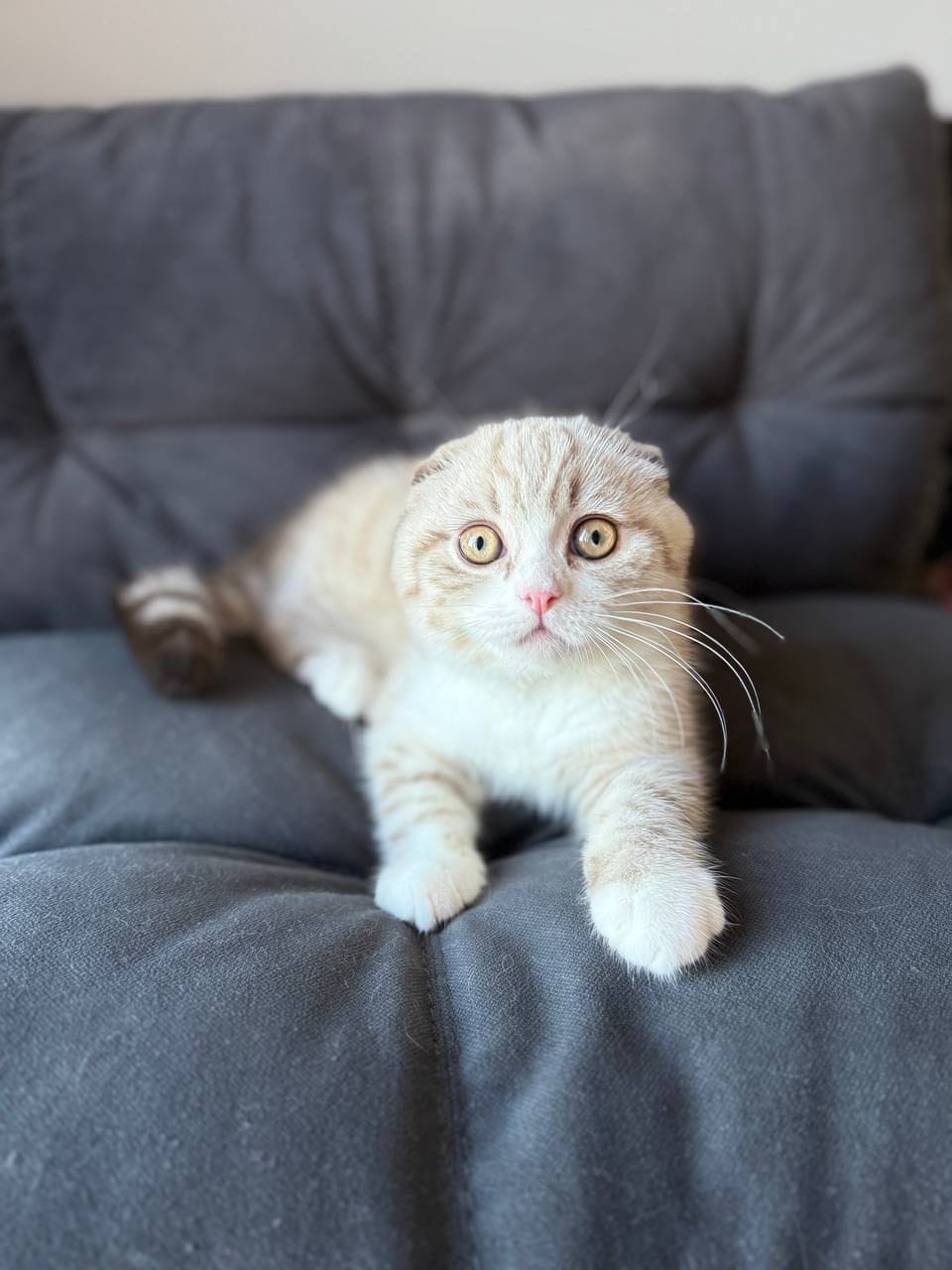 WhatsApp Image 2025-12-01 at 18.42.01