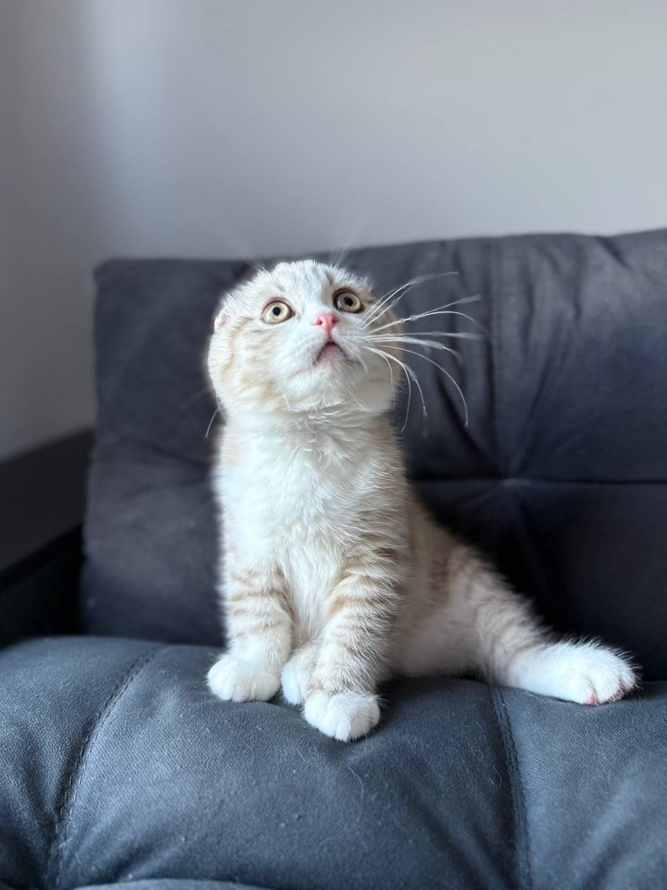 WhatsApp Image 2025-12-01 at 18.42.02 (1)