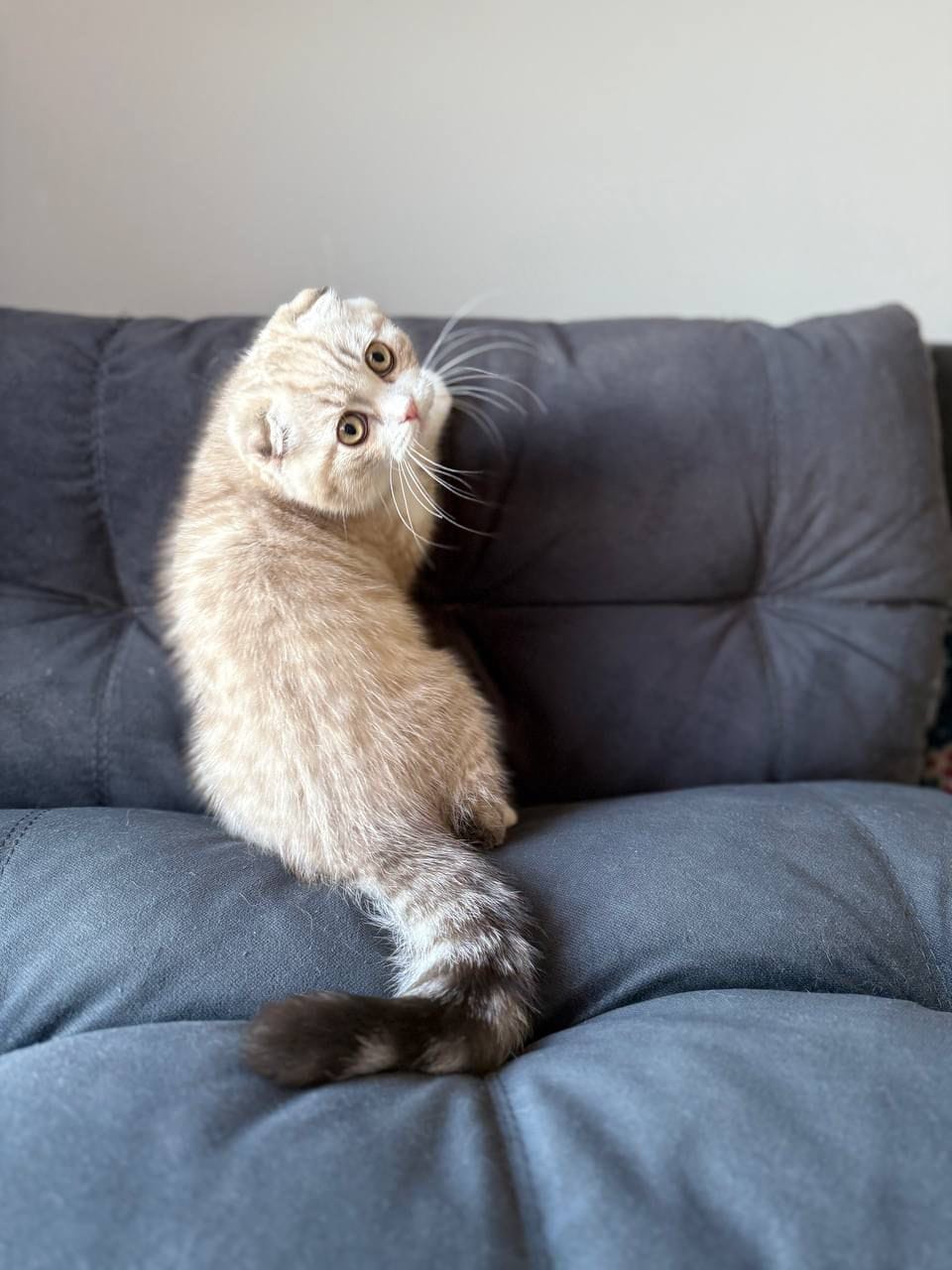 WhatsApp Image 2025-12-01 at 18.42.02 (3)