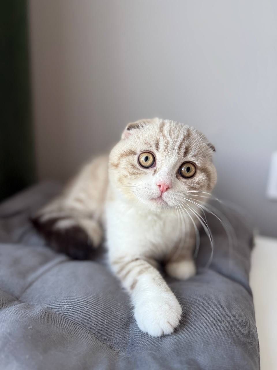 WhatsApp Image 2025-12-01 at 18.42.02 (4)