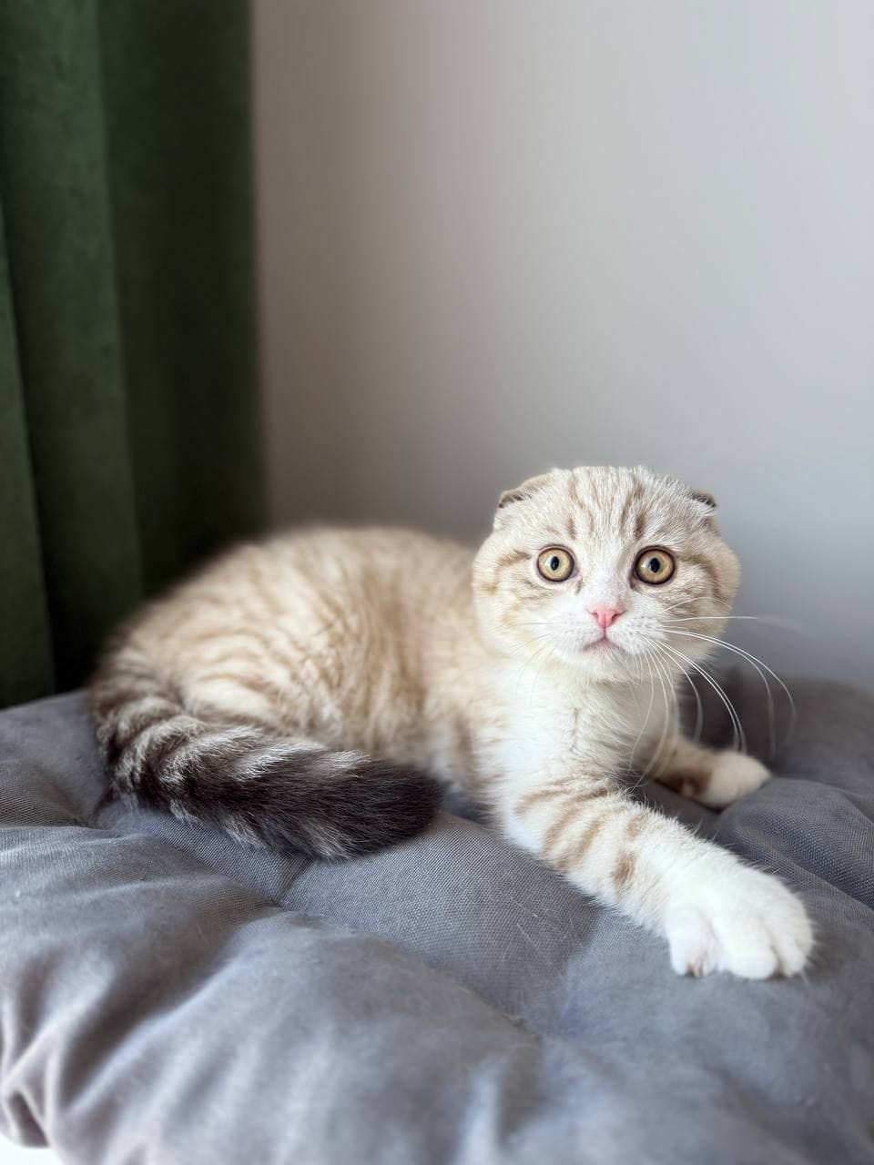 WhatsApp Image 2025-12-01 at 18.42.02