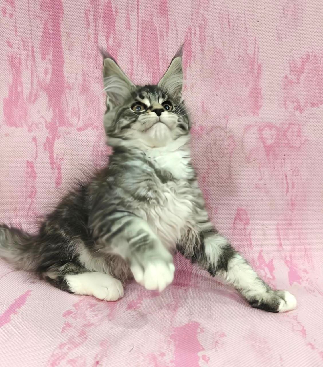 WhatsApp Image 2025-12-09 at 15.38.45 (3)