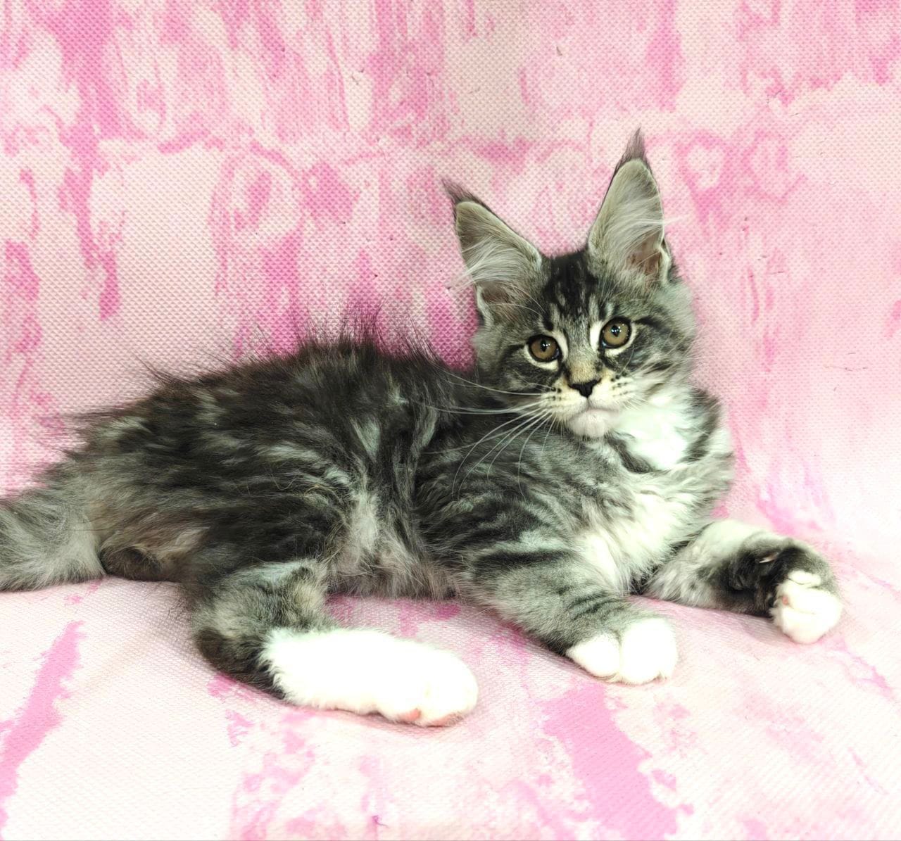 WhatsApp Image 2025-12-09 at 15.38.45 (5)