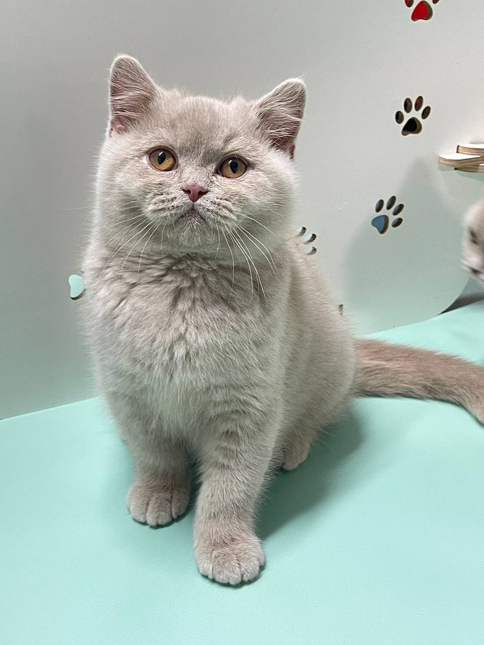 WhatsApp Image 2025-12-13 at 18.59.12 (1)