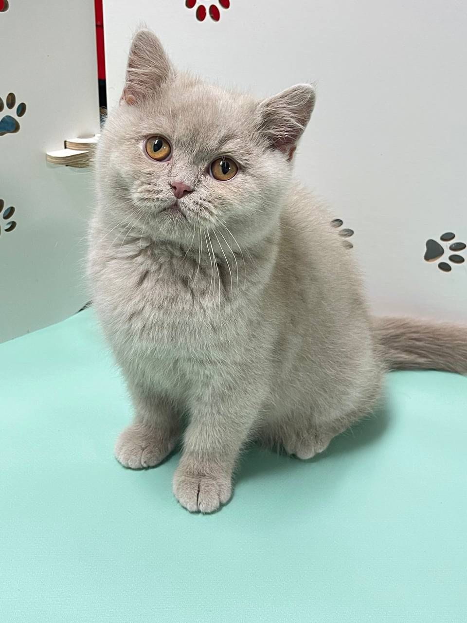 WhatsApp Image 2025-12-13 at 18.59.13 (1)