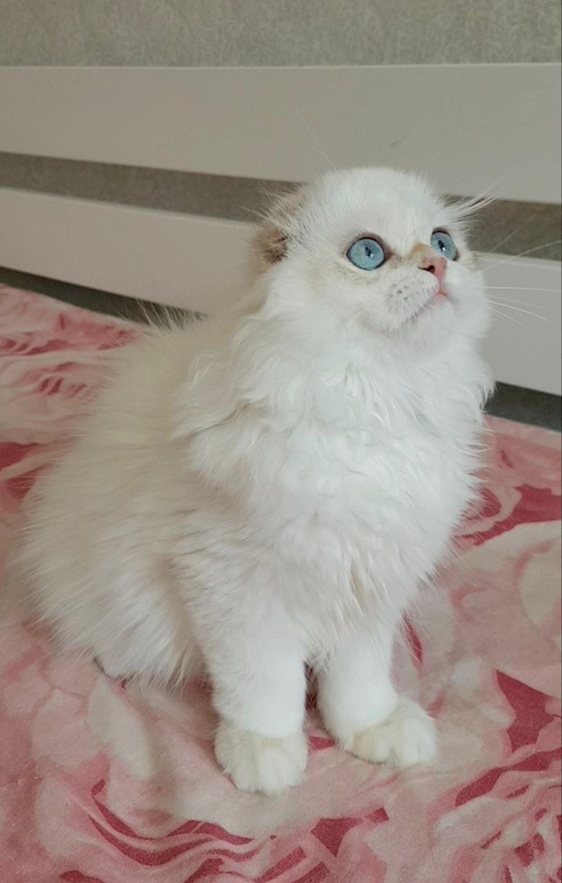 WhatsApp Image 2025-12-13 at 18.59.35 (1)