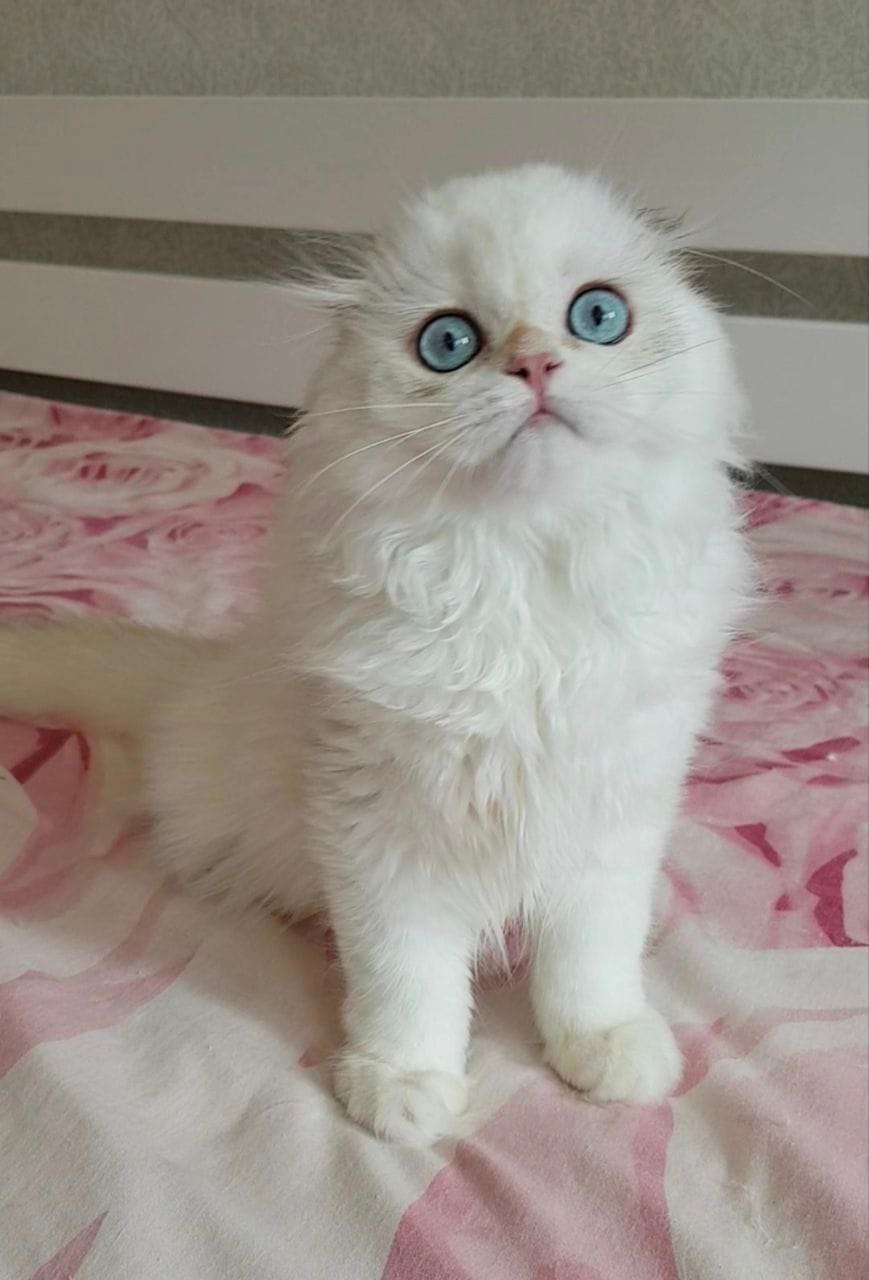 WhatsApp Image 2025-12-13 at 18.59.35