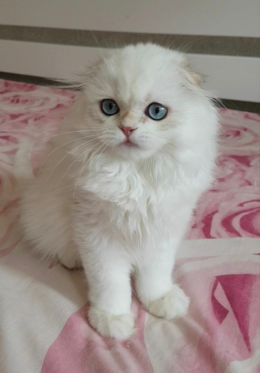 WhatsApp Image 2025-12-13 at 18.59.36 (1)